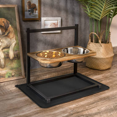 Wayfair elevated shop dog bowls